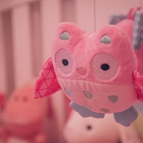 Adorable Pink Teddy Bear